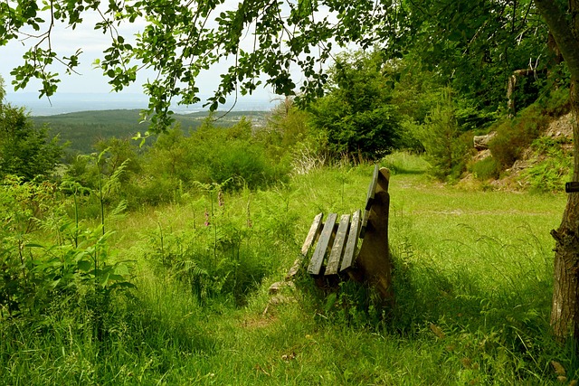 积极为社区 积极为社区