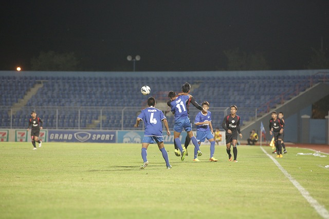 何去何从 何去何从