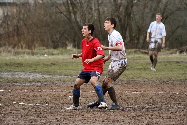 从乔丹到科 从乔丹到科