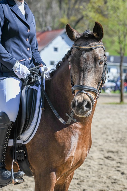 勇敢面對才 勇敢面對才