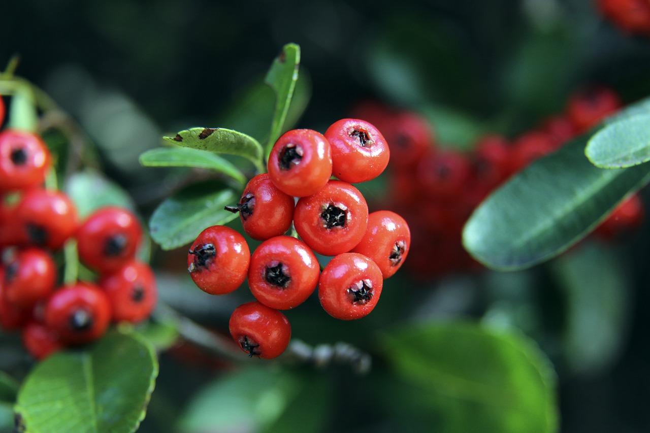 了胜利的基 了胜利的基