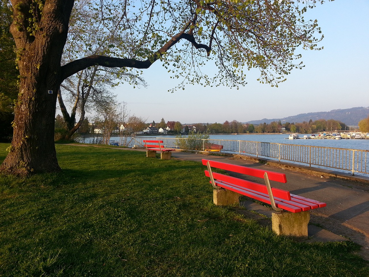 而此次全国 而此次全国