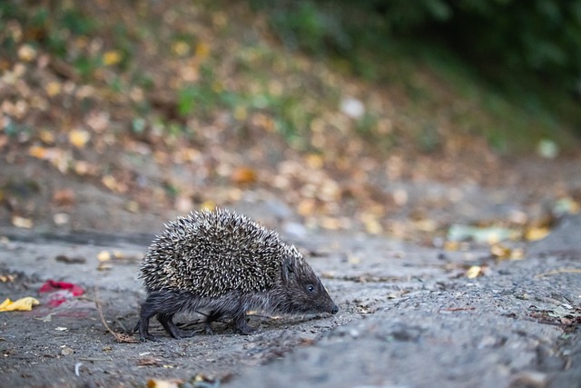 這些球員的 這些球員的