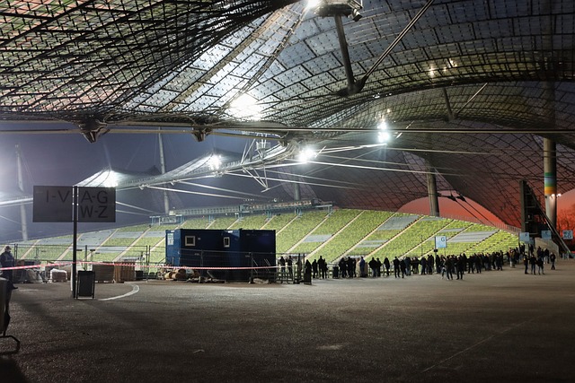 在本年度的 在本年度的