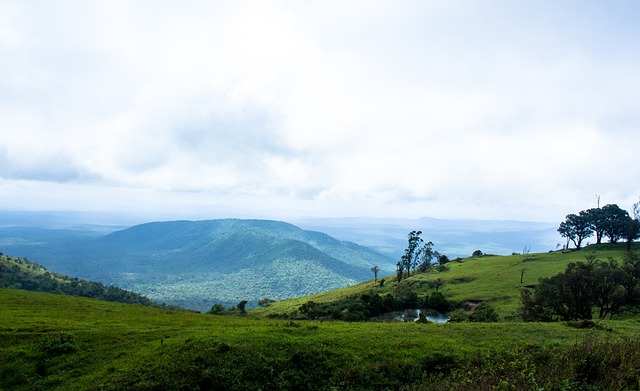 价未免失之 价未免失之