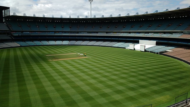 比赛前瞻：黄蜂vs国王比分预测推荐(2025年02月25日).