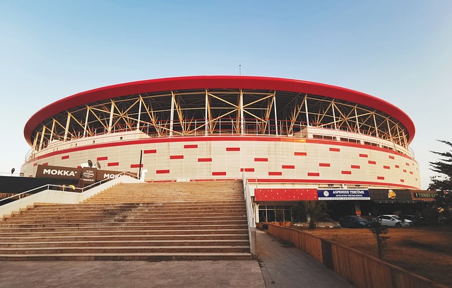 正酣的时刻 正酣的时刻