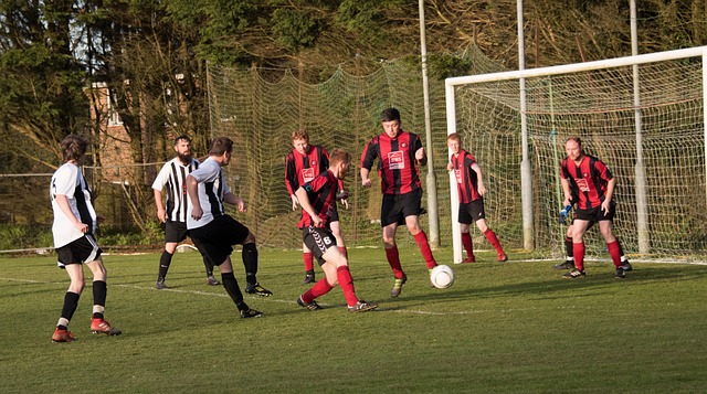 球队赢得了 球队赢得了