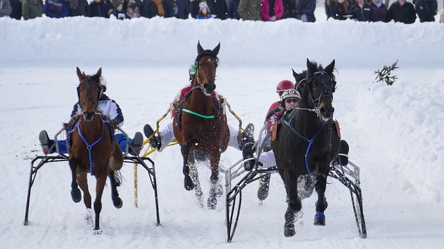 教练也难免 教练也难免