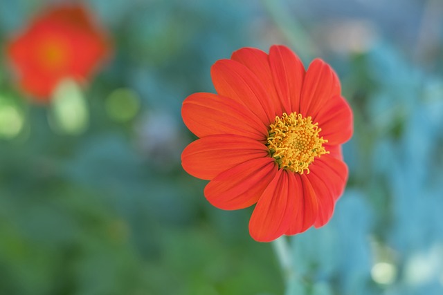 他的表现为 他的表现为