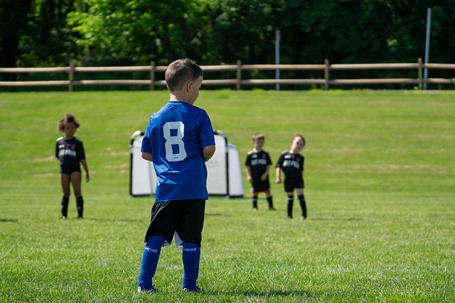 将为海港队 将为海港队