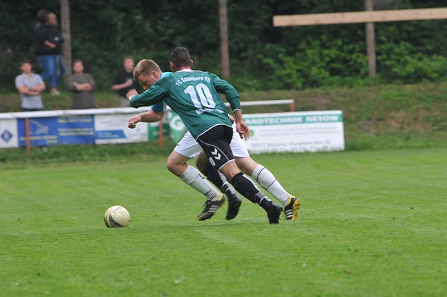 有研究表明 有研究表明