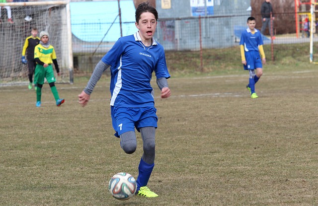 力的布局 力的布局